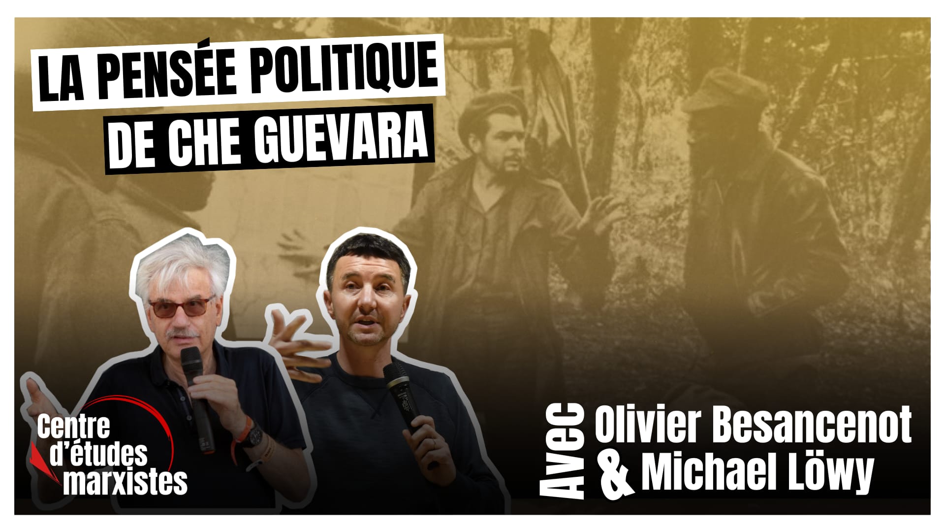 La pensée politique de Che guevara